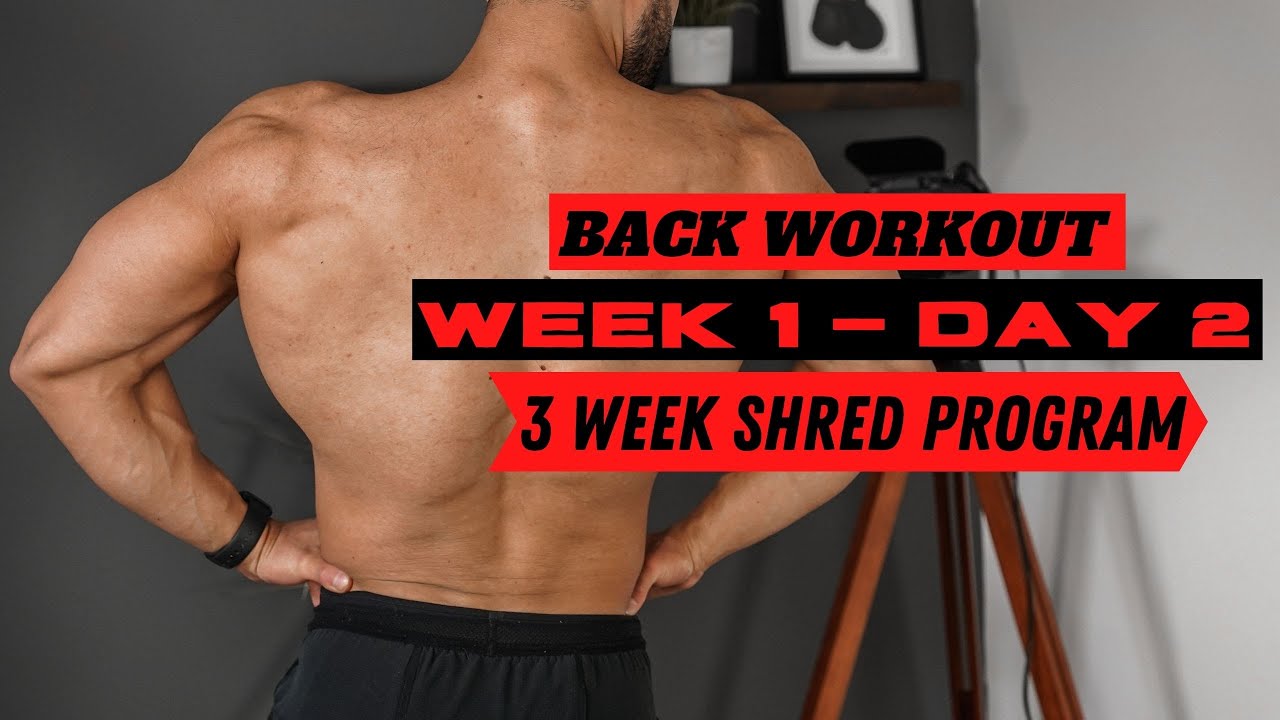 image 0 3 Week Shred Program : Back Workout : Week 1 - Day 2