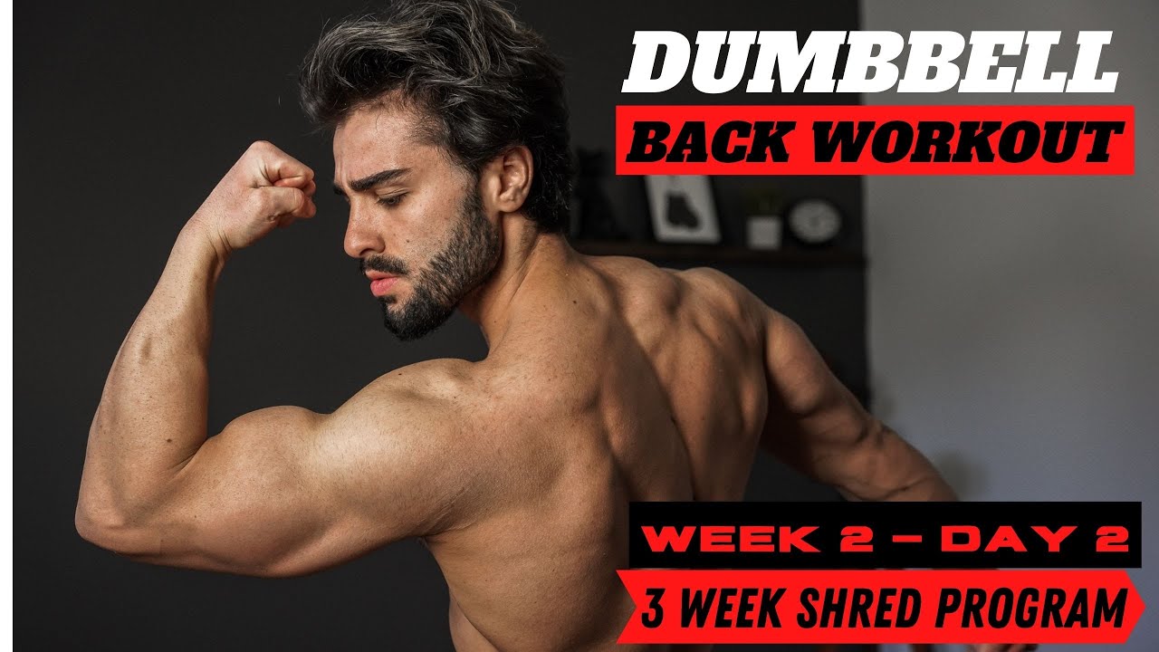 image 0 3 Week Shred Program : Dumbbell Back Workout : Week 2 - Day 2