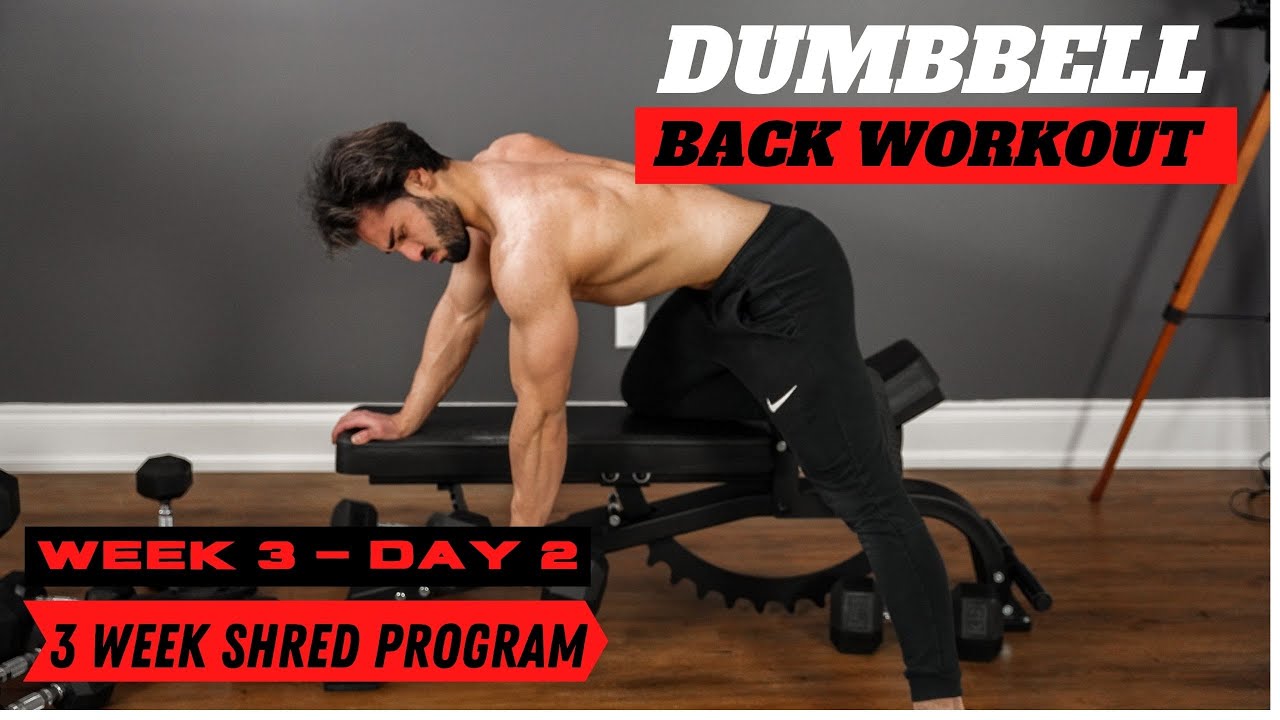 image 0 3 Week Shred Program : Dumbbell Back Workout : Week 3 - Day 2